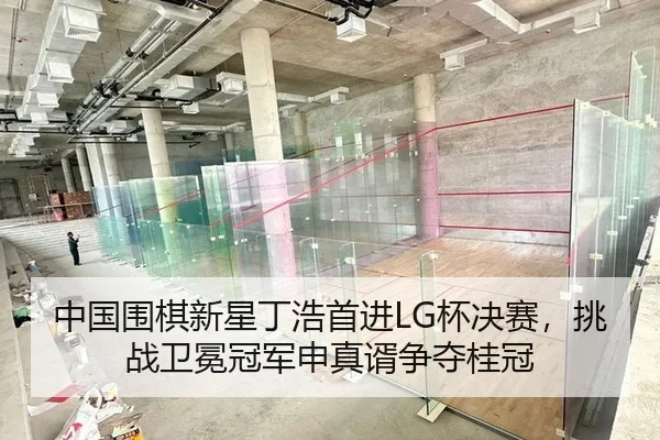 中国围棋新星丁浩首进LG杯决赛，挑战卫冕冠军申真谞争夺桂冠